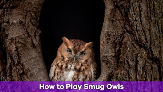 How to Play Smug Owls: The Ultimate Word Party Game Guide
