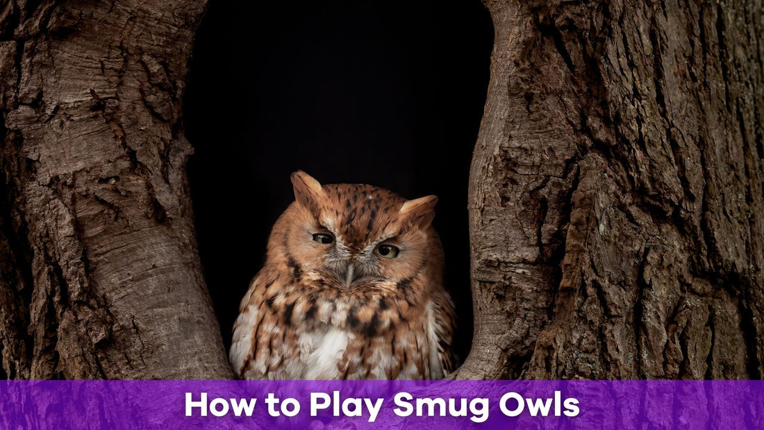 How to Play Smug Owls: The Ultimate Word Party Game Guide