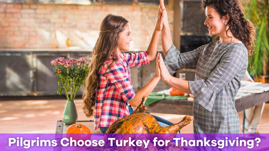 Why Did the Pilgrims Choose Turkey for Thanksgiving?